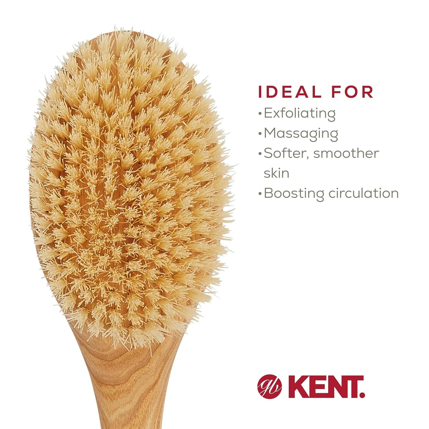FD10 Ashwood Back Scrubber for Shower Bath Brush and Body Scrubber Exfoliator - Boar Bristle Shower Brush for Body for Men and Women - Brush Back Scrubbers for Use in Shower Made in England