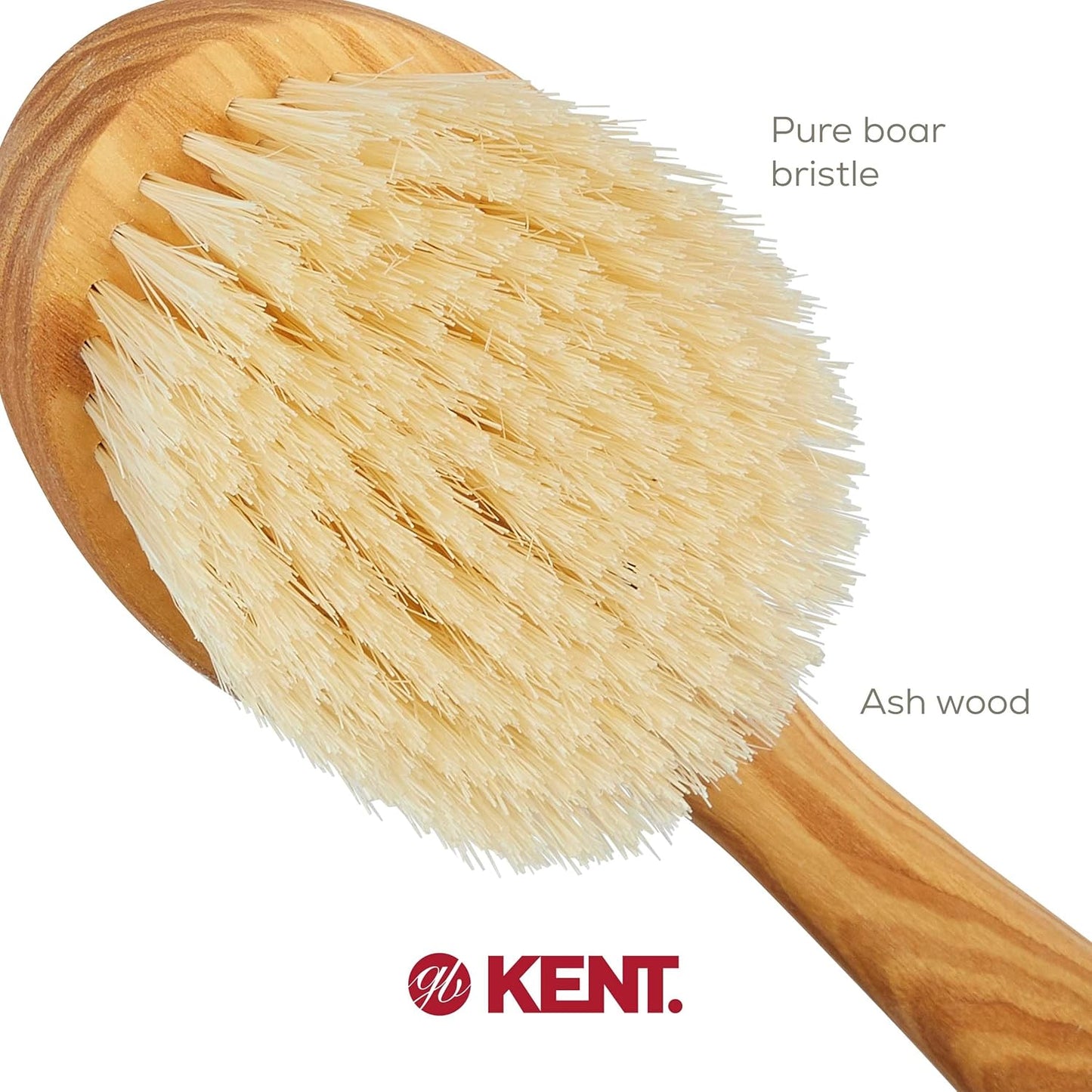 FD10 Ashwood Back Scrubber for Shower Bath Brush and Body Scrubber Exfoliator - Boar Bristle Shower Brush for Body for Men and Women - Brush Back Scrubbers for Use in Shower Made in England